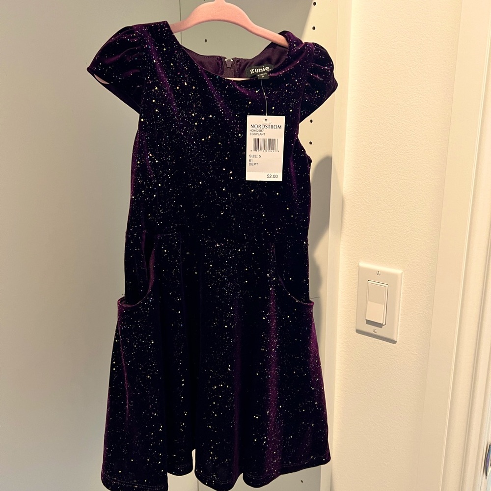 Beautiful Deep purple with Glitter Dress.